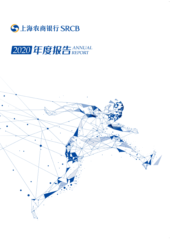2020年年度报告（中文）